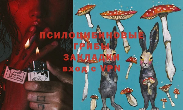 кокс Баксан