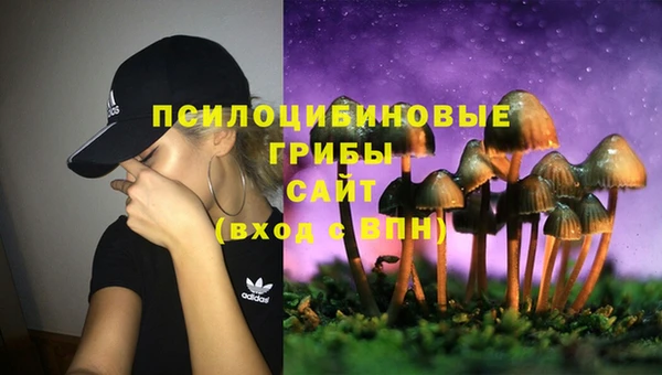 кокс Баксан